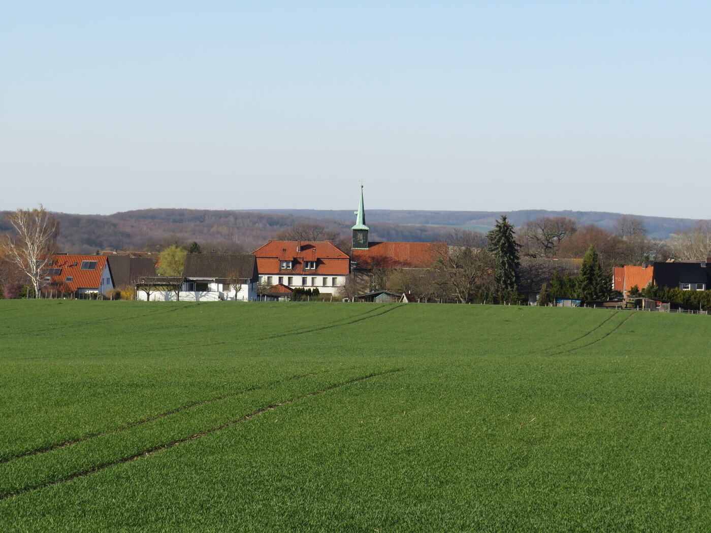 Blick über die Felder auf Beuchte, dahinter der bewaldete Harly