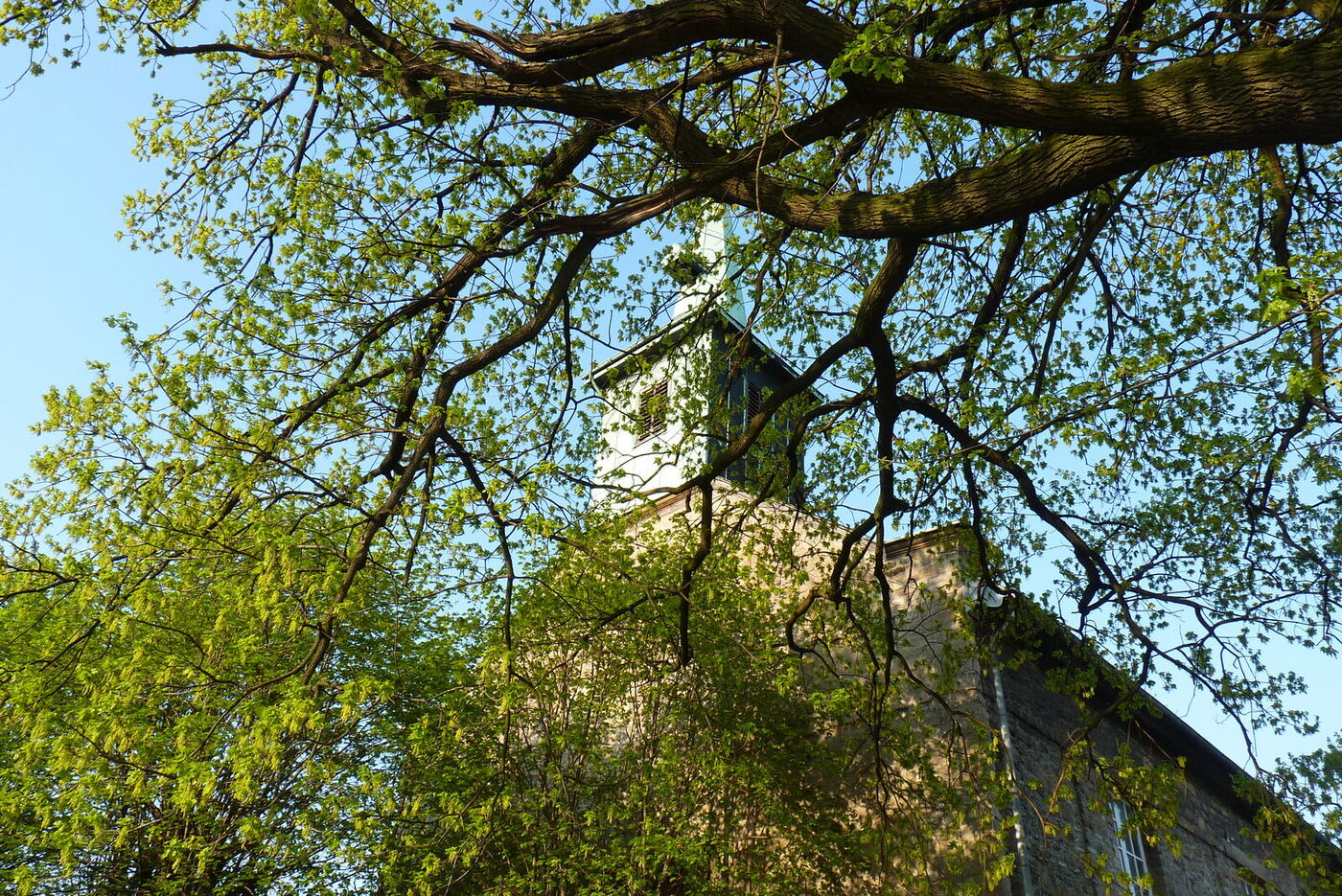 Die Dorfkirche hinter frischem Frühlingsgrün